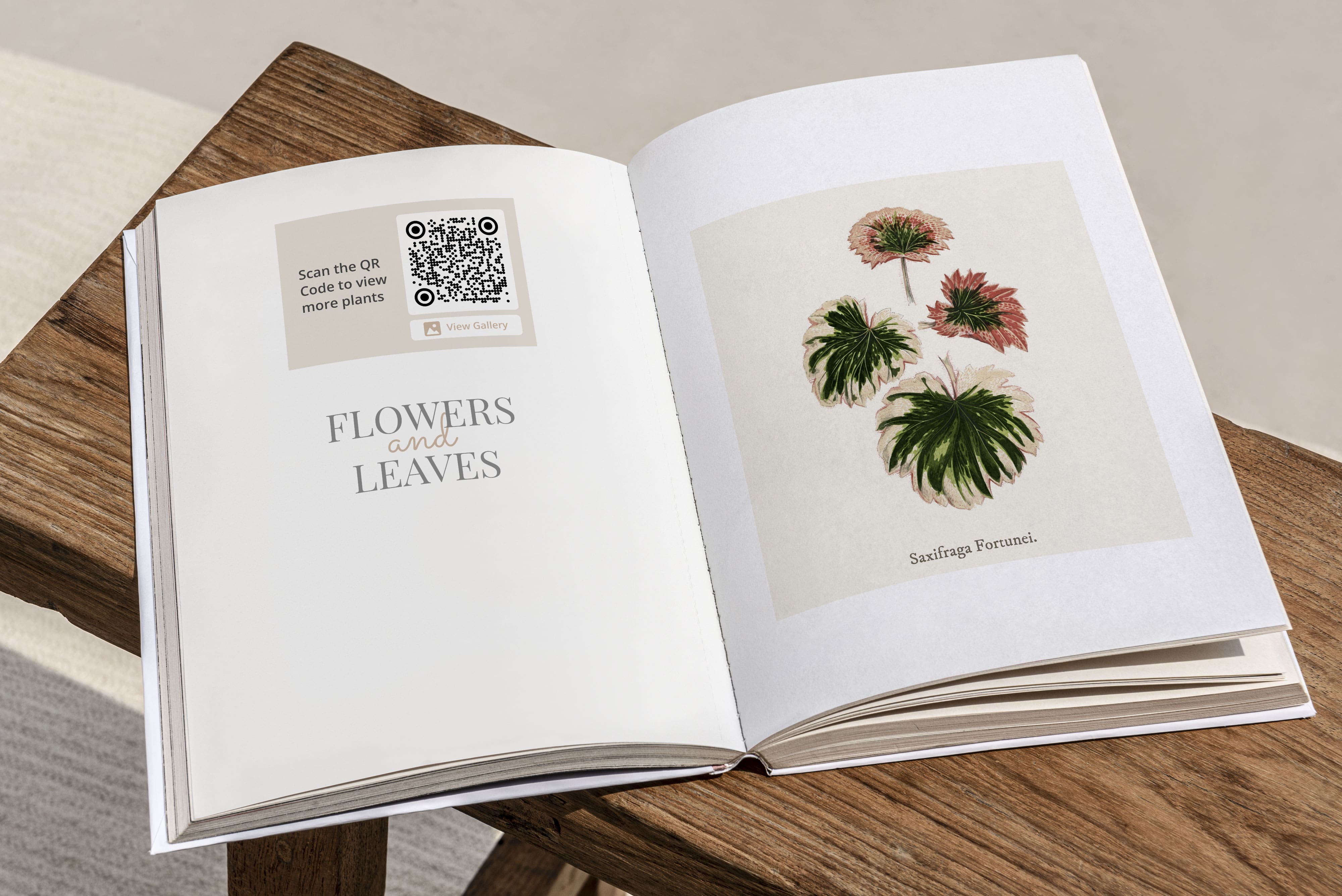 Books Enhanced with Interactive QR Codes